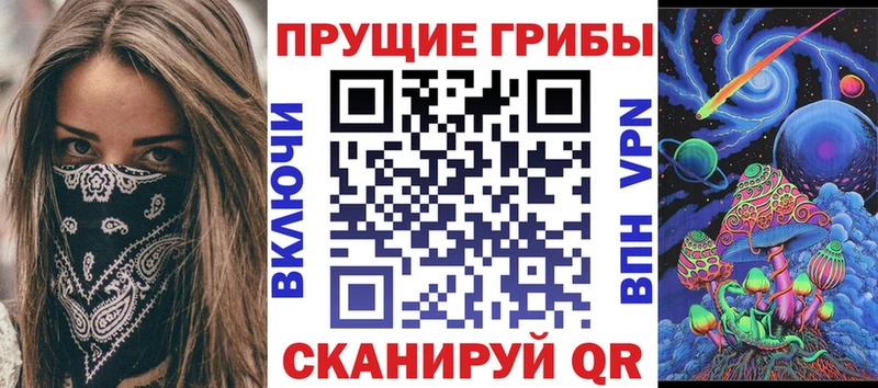 цена   это какой сайт  Псилоцибиновые грибы мицелий  Невельск 
